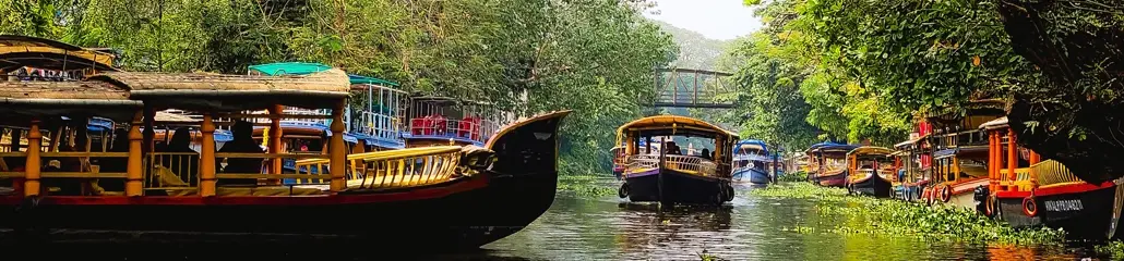 Kerala Nature View